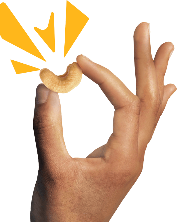 Nut Harvest hand